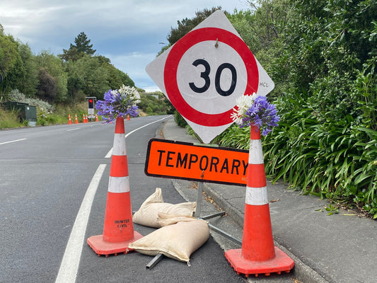 Road Cone with Flower